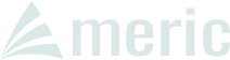 Millennium Solutions USA Plus